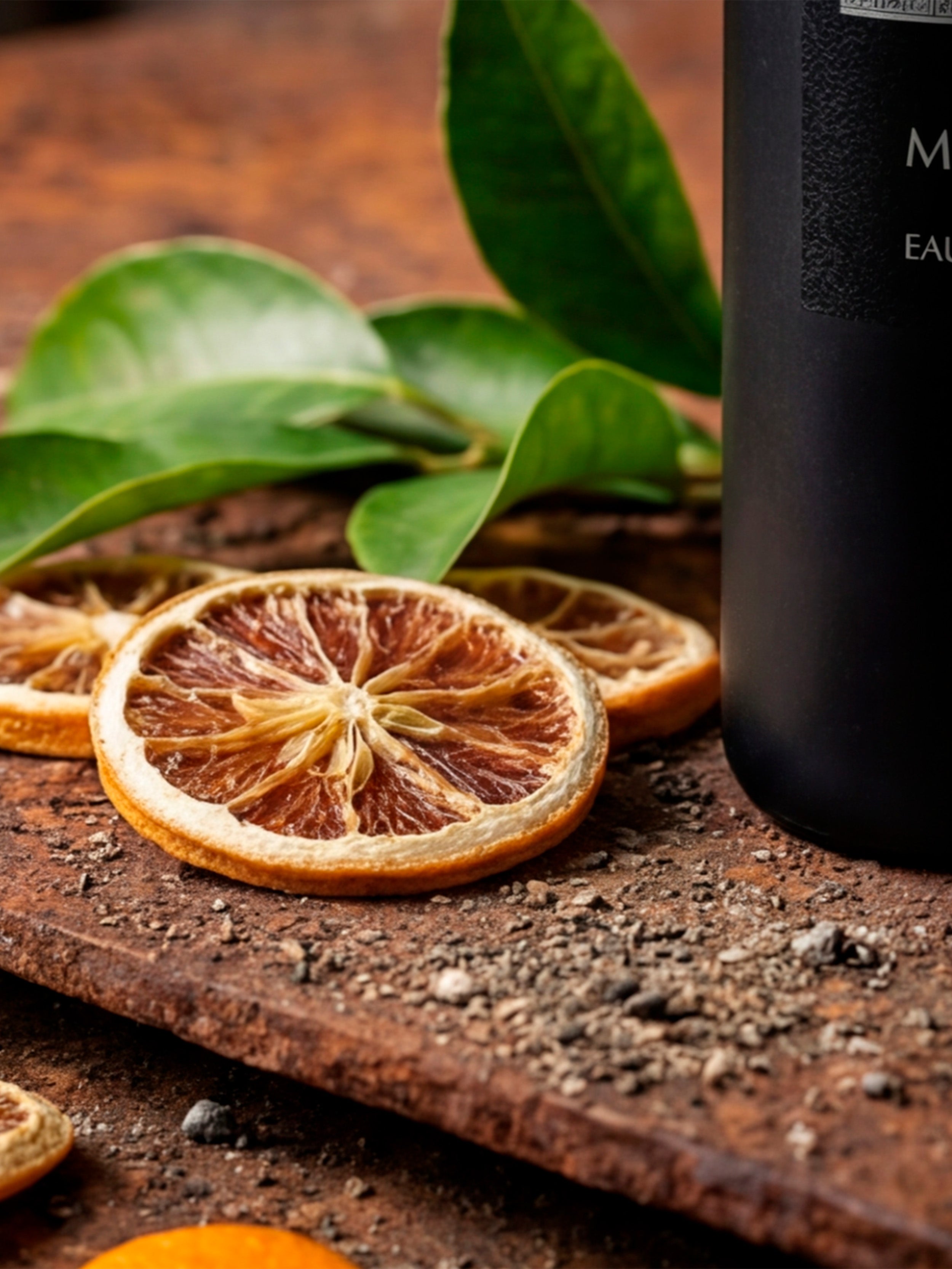 Menerva - Classic Line