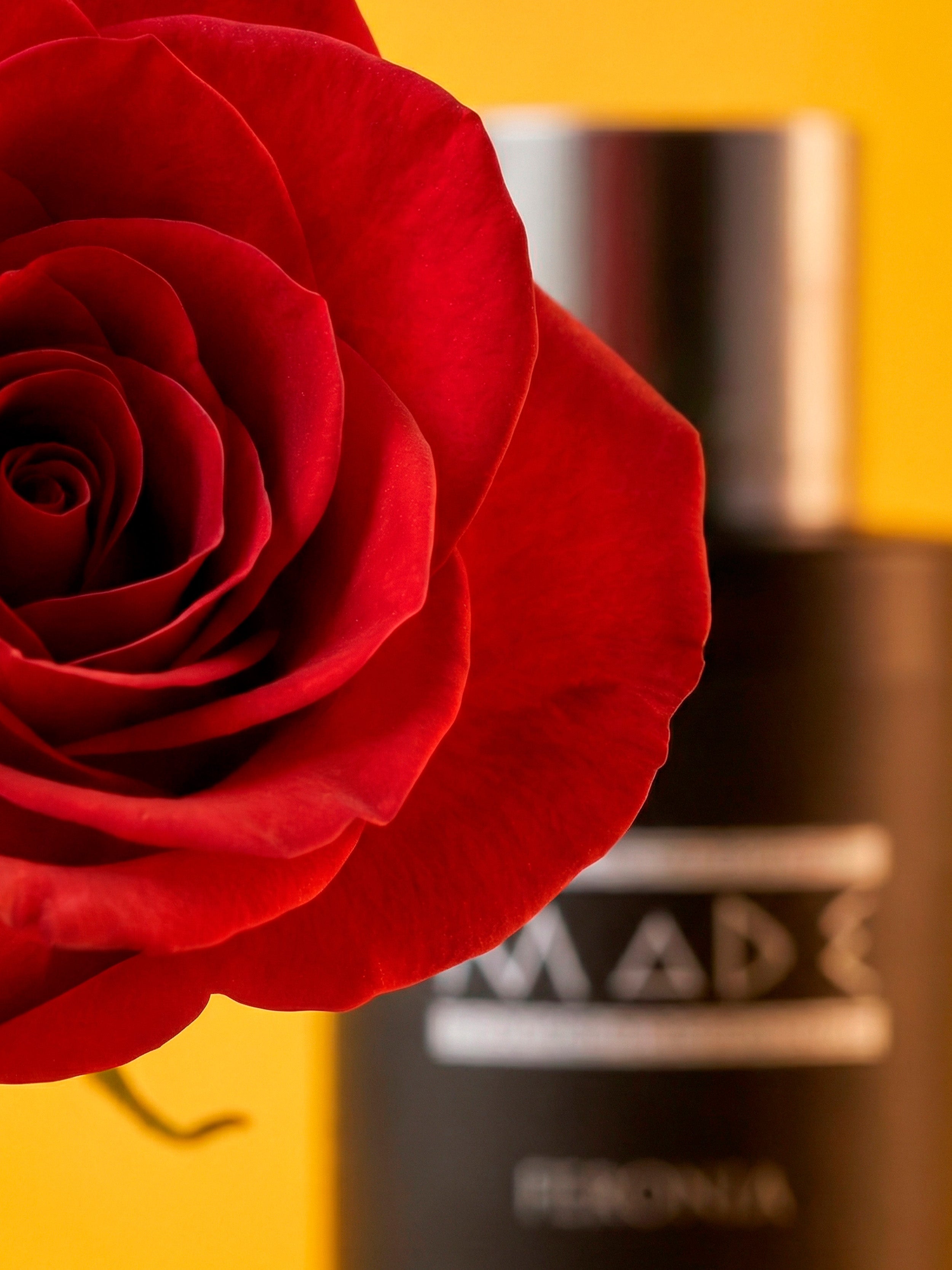 Feronia - Classic Line